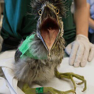 Meet your Posher, Alayna